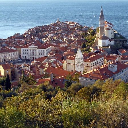 Sea View Istrian Countryside Apartment - Rota Dragonja Esterno foto