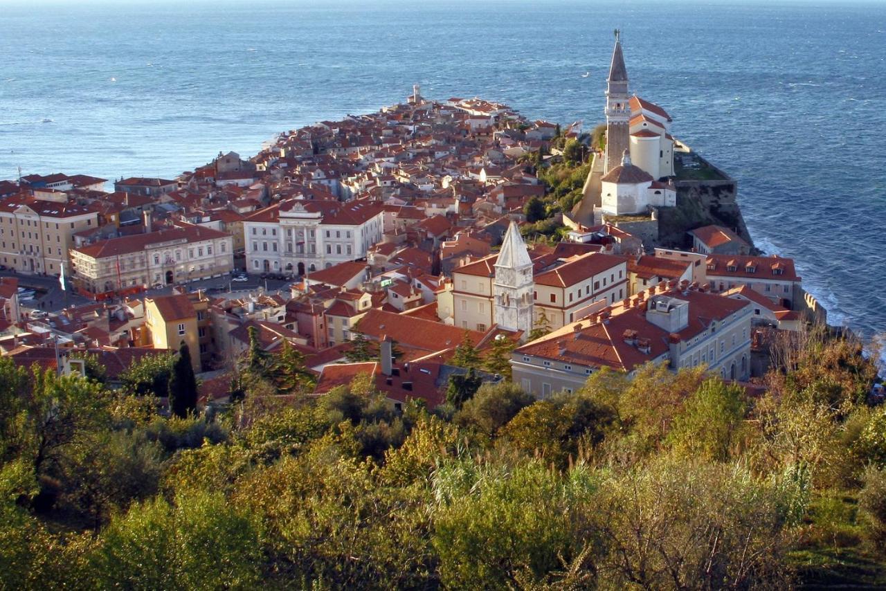 Sea View Istrian Countryside Apartment - Rota Dragonja Esterno foto
